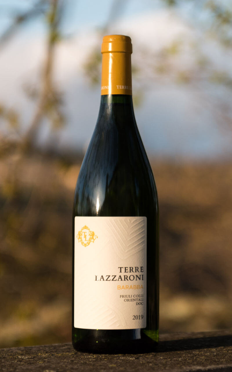 Barabba vino Friulano di Terre Lazzaroni del Friuli Colli Orientali DOC